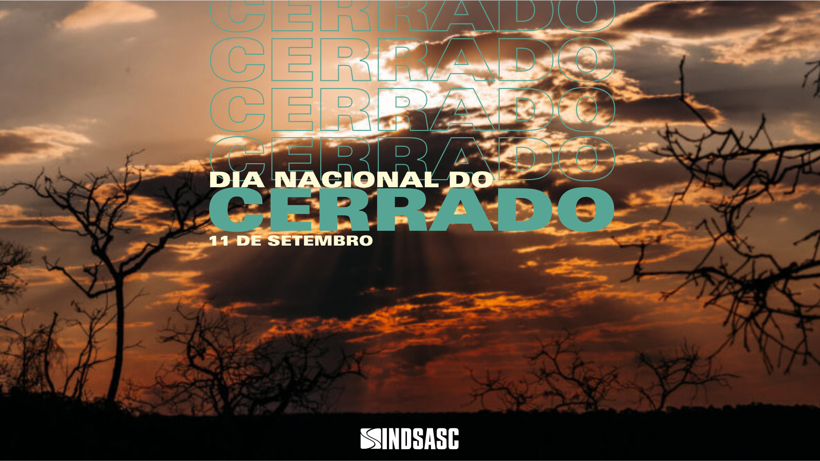 11 de setembro é o Dia Nacional do Cerrado