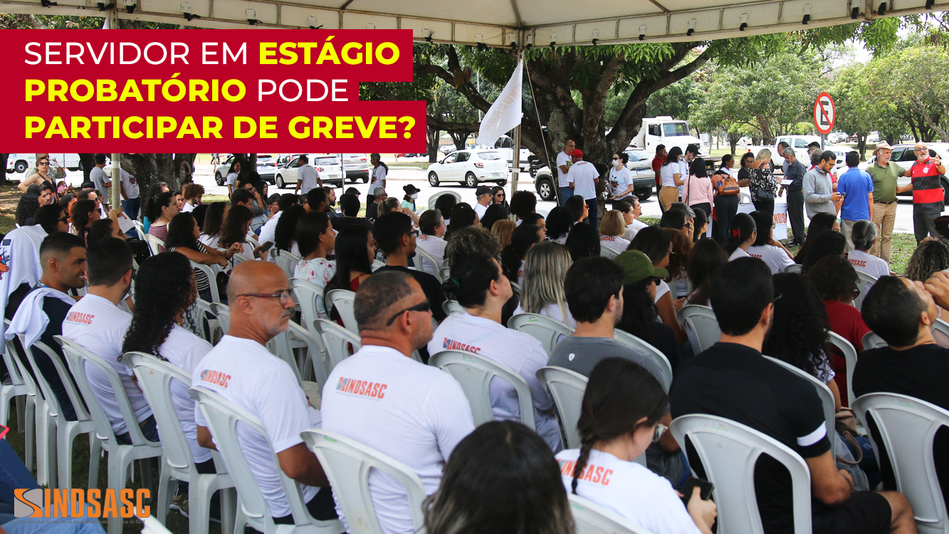 SERVIDOR EM ESTÁGIO PROBATÓRIO PODE PARTICIPAR DE GREVE?